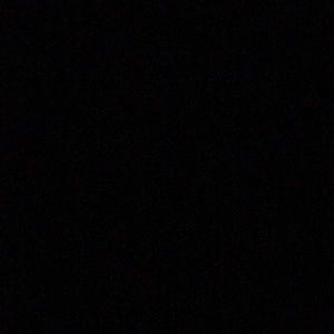 Meet your Posher, Gavin